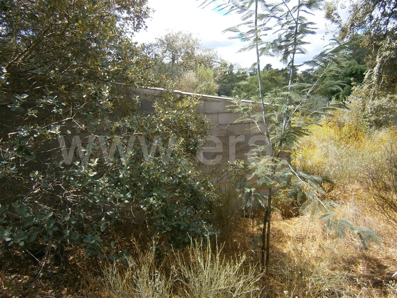 Terreno  Castelo Branco, Juncal do Campo - 1256611 - 6