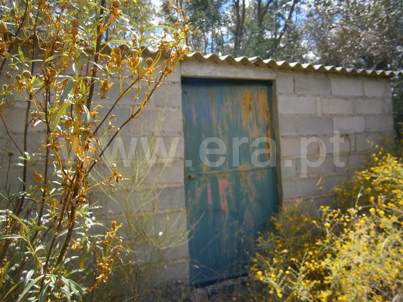 Terreno  Castelo Branco, Juncal do Campo - 1256611 - 8