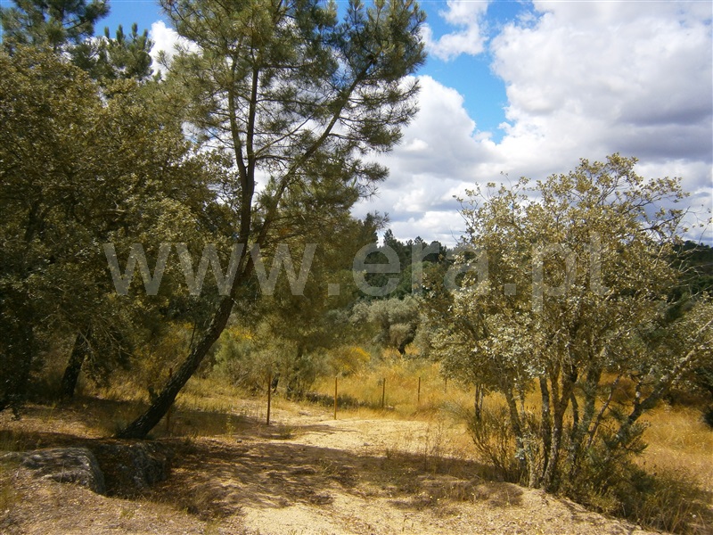 Terreno  Castelo Branco, Juncal do Campo - 1256611 - 11