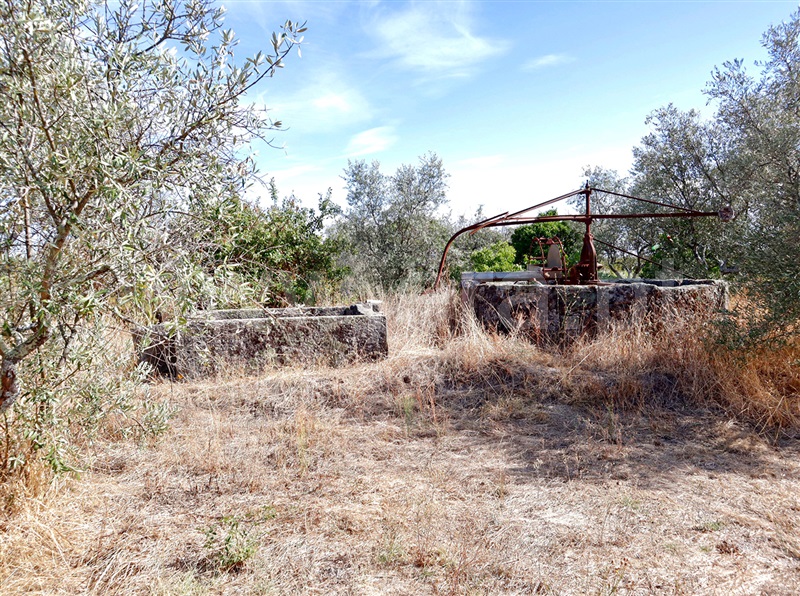 Terreno  Castelo Branco, Lardosa - 1481307 - 2