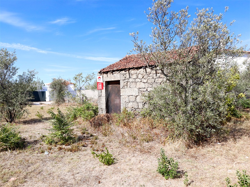 Terreno  Castelo Branco, Lardosa - 1481307 - 3