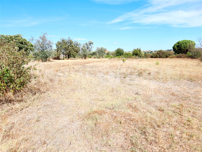 Terreno  Castelo Branco, Lardosa - 1481307 - 9