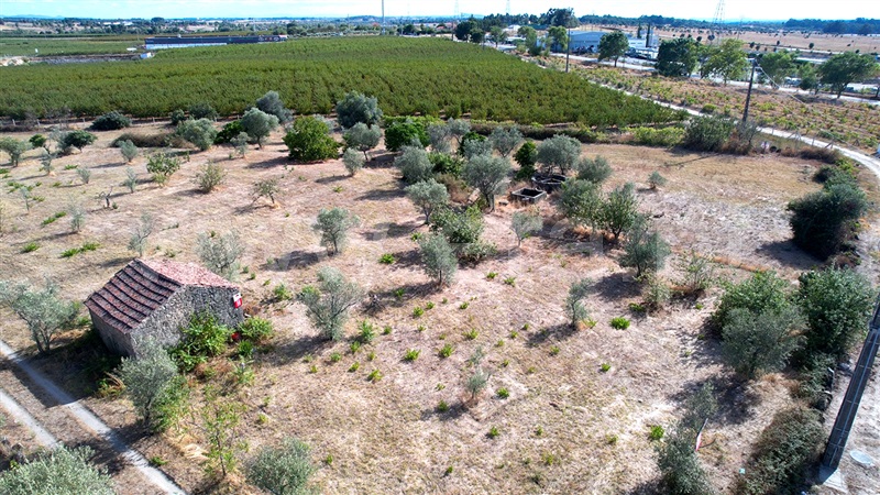 Terreno / Castelo Branco, Lardosa