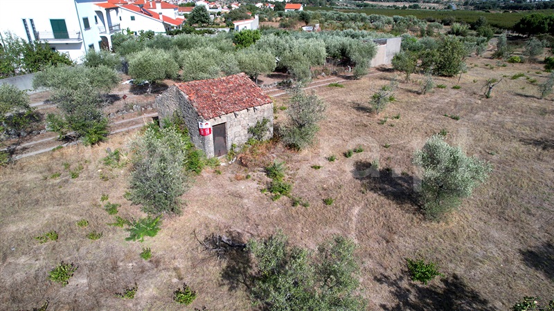 Terreno  Castelo Branco, Lardosa - 1481307 - 11