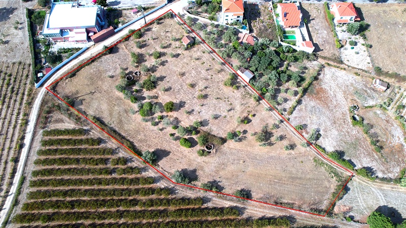 Terreno  Castelo Branco, Lardosa - 1481307 - 12