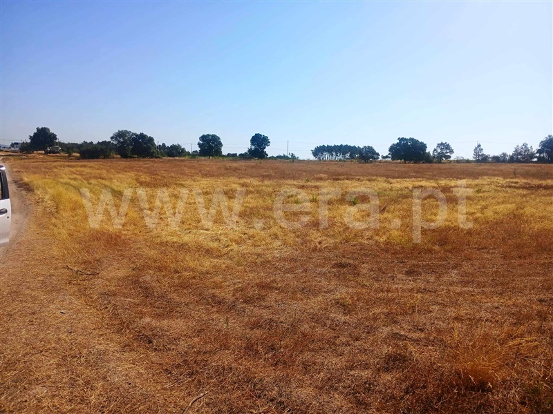 Terreno / Castelo Branco, Lardosa