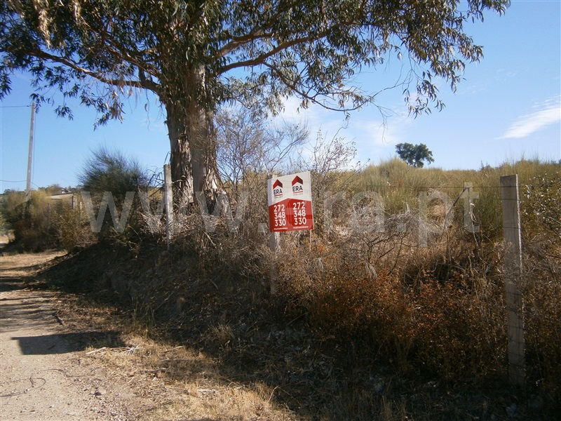 Terreno / Castelo Branco, Monforte da Beira