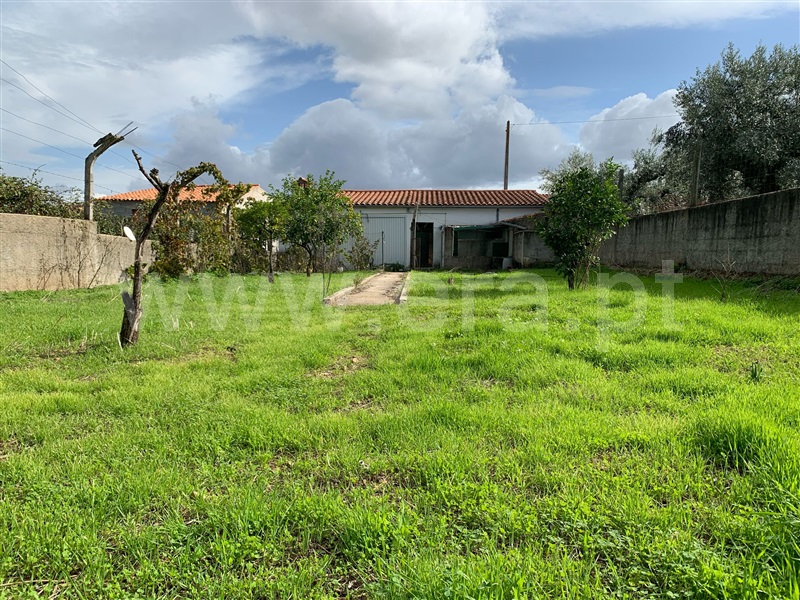 Terreno / Castelo Branco, Monforte da Beira