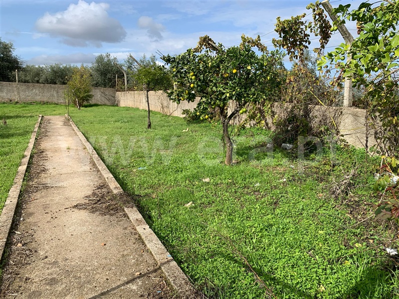 Terreno  Castelo Branco, Monforte da Beira - 1440062 - 2