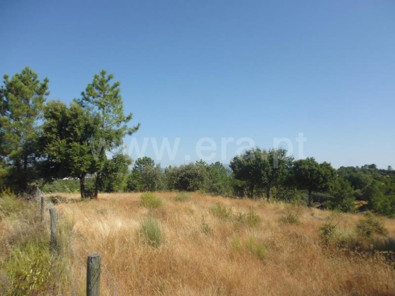 Terreno  Castelo Branco, Tinalhas - 778936 - 3