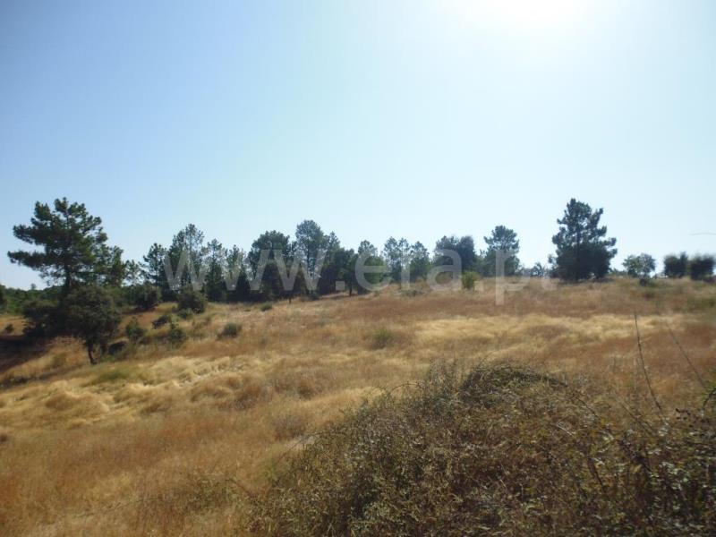 Terreno  Castelo Branco, Tinalhas - 778936 - 5