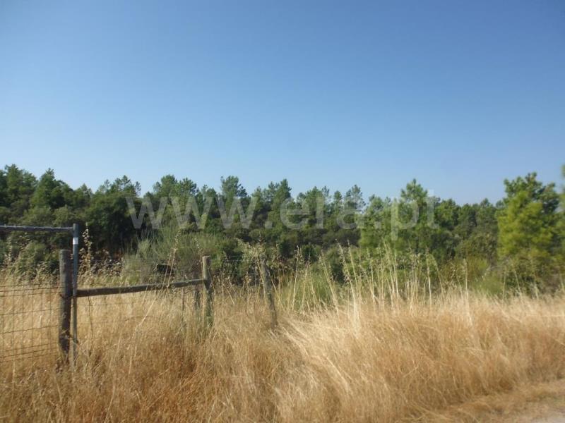 Terreno  Castelo Branco, Tinalhas - 778936 - 6