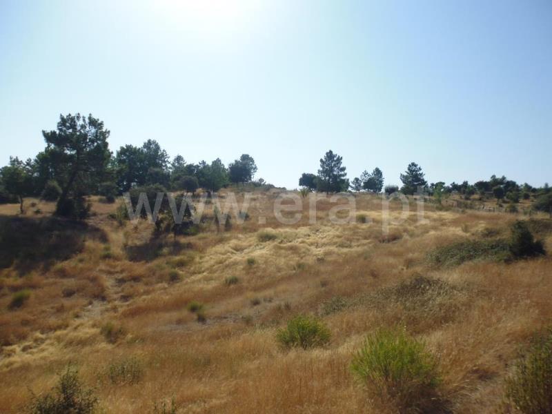 Terreno  Castelo Branco, Tinalhas - 778936 - 7