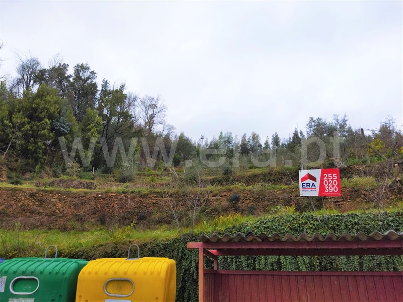 Terreno  Castelo de Paiva, Raiva, Pedorido e Paraíso - 1232592 - 1