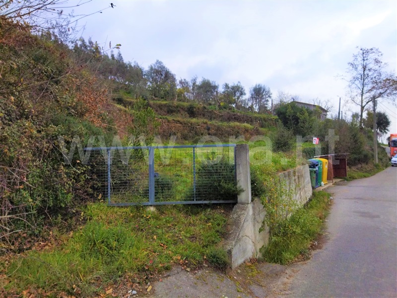 Terreno / Castelo de Paiva, Raiva, Pedorido e Paraíso