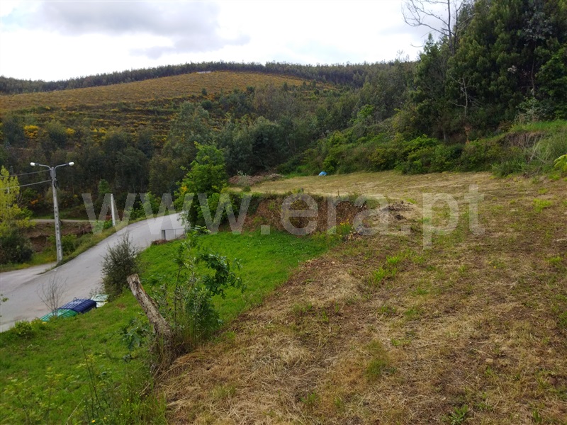 Terreno  Castelo de Paiva, Raiva, Pedorido e Paraíso - 1232592 - 3