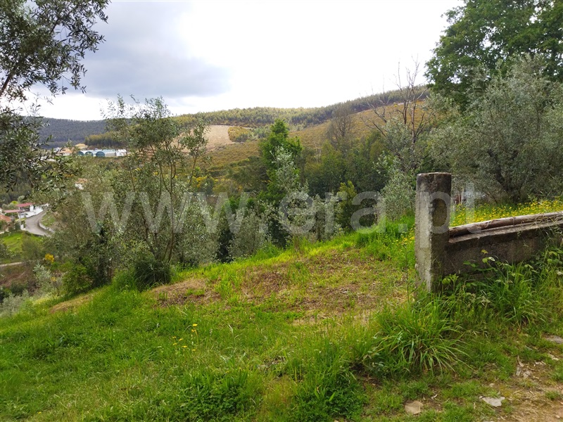 Terreno  Castelo de Paiva, Raiva, Pedorido e Paraíso - 1232592 - 4