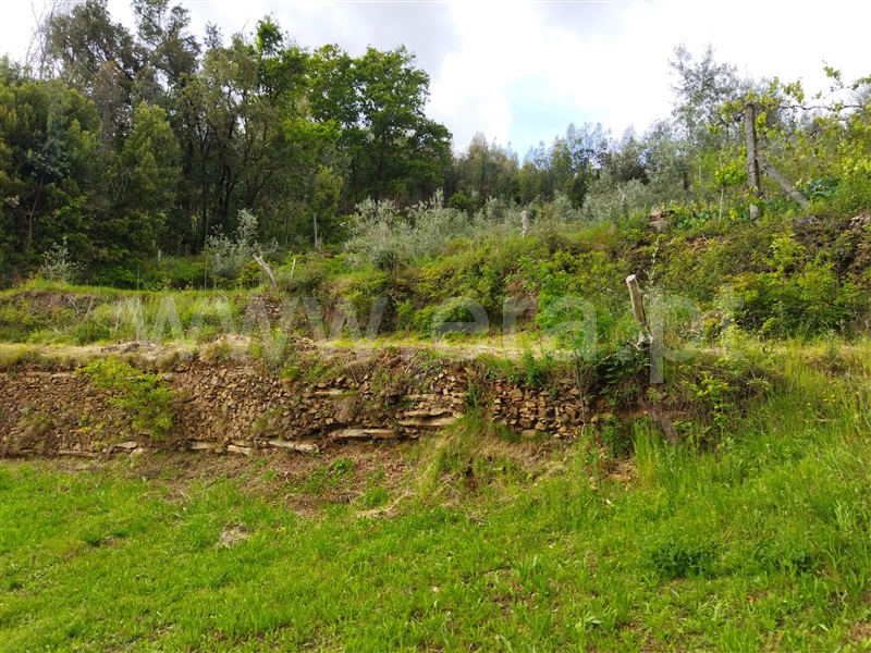 Terreno  Castelo de Paiva, Raiva, Pedorido e Paraíso - 1232592 - 5