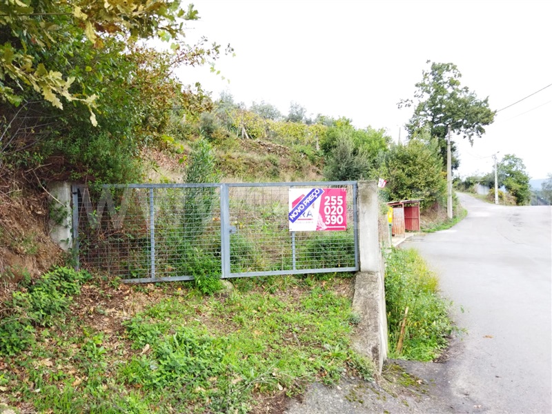 Terreno  Castelo de Paiva, Raiva, Pedorido e Paraíso - 1232592 - 7