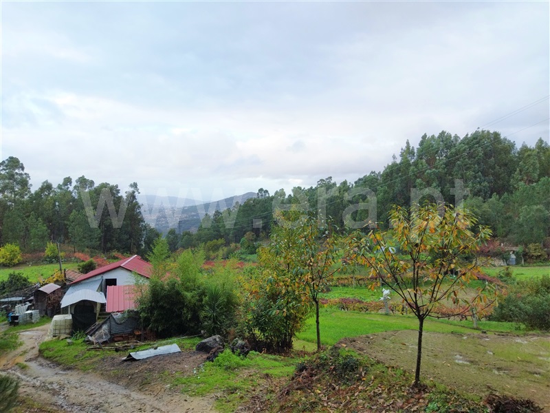 Terreno  Castelo de Paiva, Sobrado e Bairros - 1289562 - 1