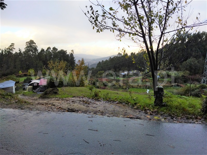 Terreno  Castelo de Paiva, Sobrado e Bairros - 1289562 - 3