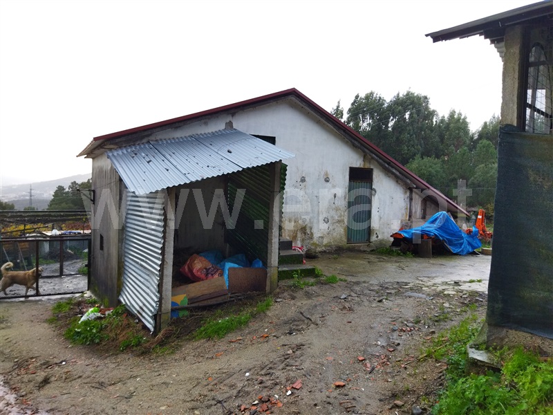 Terreno  Castelo de Paiva, Sobrado e Bairros - 1289562 - 5