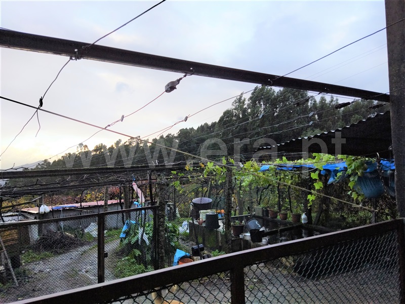 Terreno  Castelo de Paiva, Sobrado e Bairros - 1289562 - 7