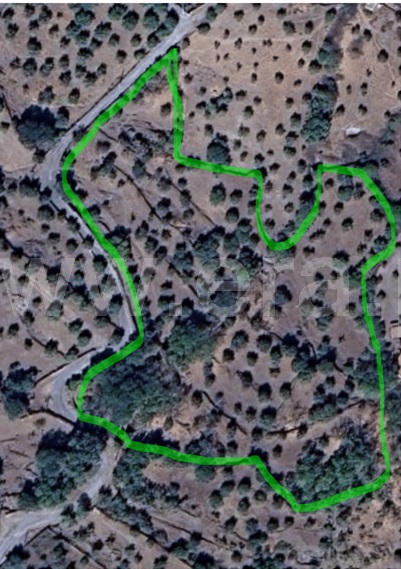 Terreno / Castelo de Vide, Castelo de Vide