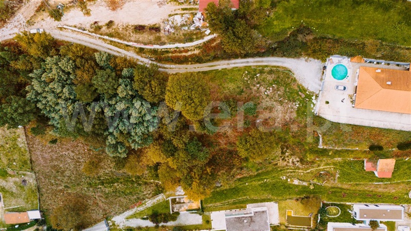 Terreno / Castro Daire, Castro Daire