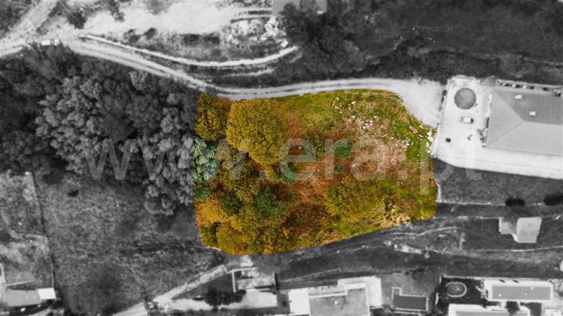Terreno  Castro Daire - 1451738 - 2