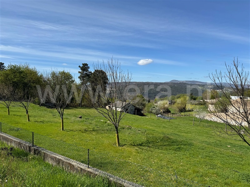 Terreno / Castro Daire, Castro Daire