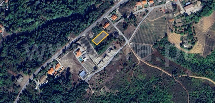 Terreno / Castro Daire, Castro Daire