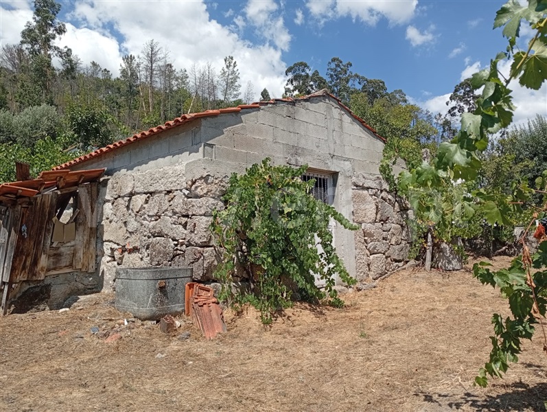 Terreno / Castro Daire, Moledo
