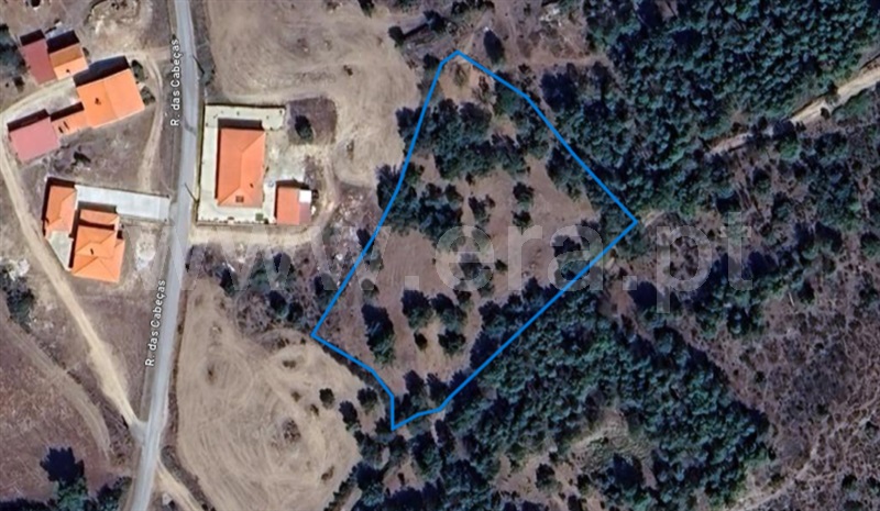 Terreno  Celorico da Beira, Carrapichana - 1380217 - 16