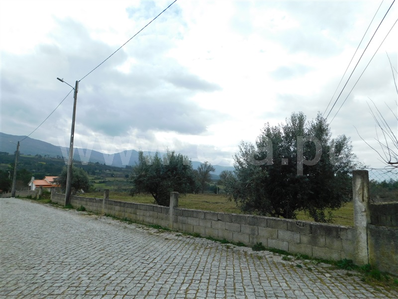 Terreno  Celorico da Beira, Carrapichana - 1386272 - 1