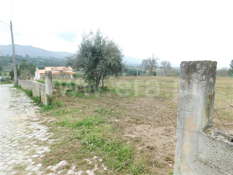 Terreno  Celorico da Beira, Carrapichana - 1386272 - 3