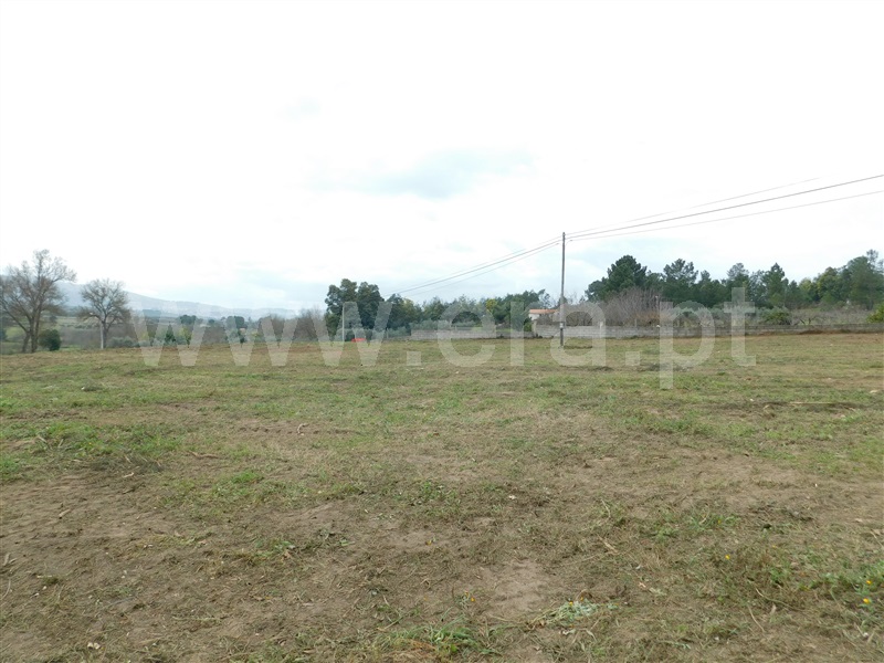 Terreno  Celorico da Beira, Carrapichana - 1386272 - 4