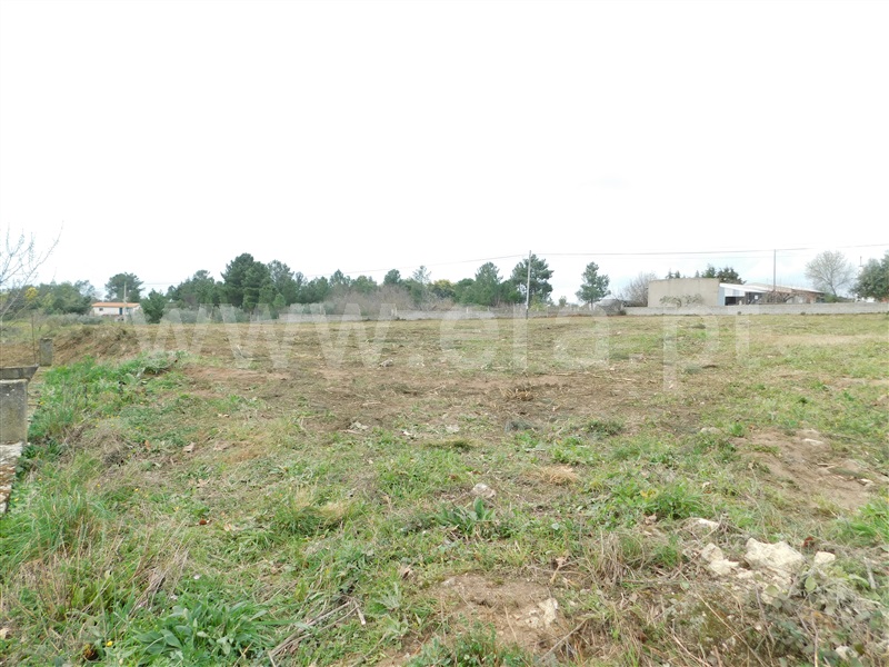 Terreno  Celorico da Beira, Carrapichana - 1386272 - 5