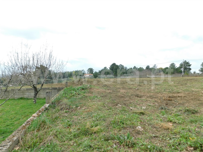 Terreno  Celorico da Beira, Carrapichana - 1386272 - 6