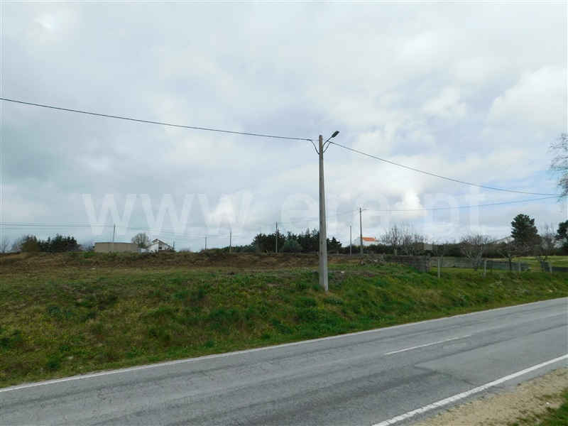 Terreno  Celorico da Beira, Carrapichana - 1386272 - 9