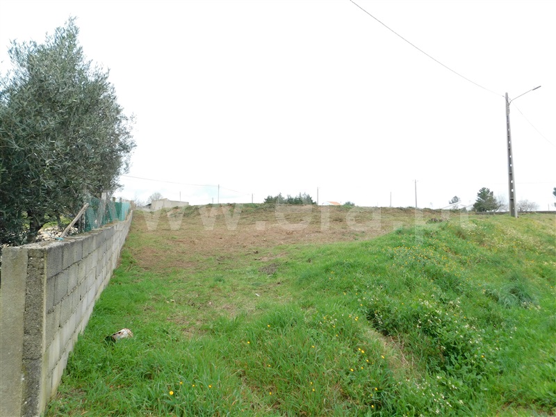 Terreno  Celorico da Beira, Carrapichana - 1386272 - 10