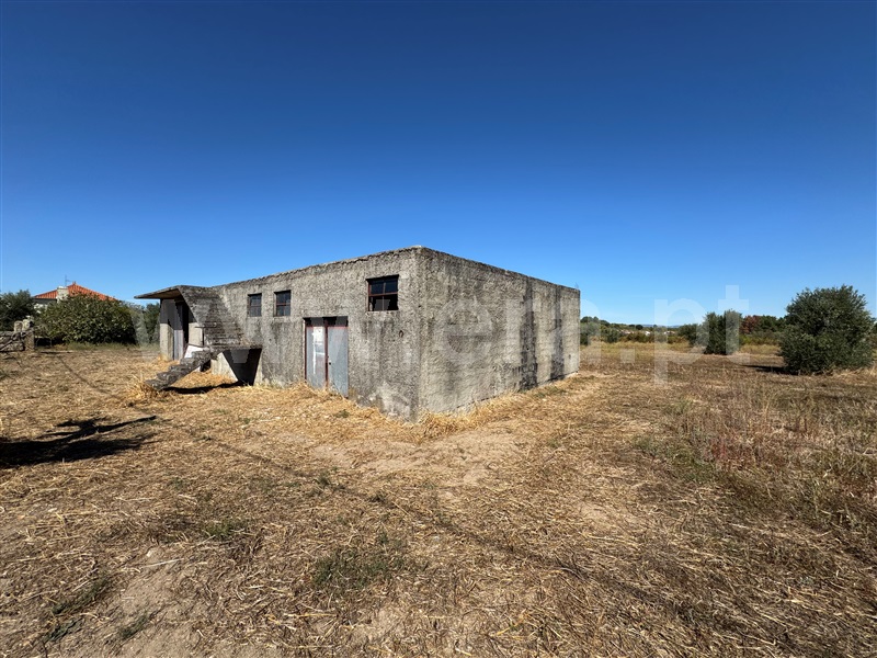 Terreno / Celorico da Beira, Carrapichana