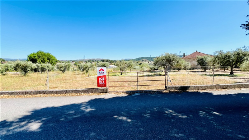 Terreno  Celorico da Beira, Celorico (São Pedro e Santa Maria) e Vila Boa do Mondego - 1399261 - 1