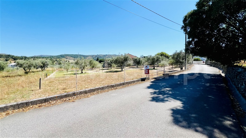 Terreno  Celorico da Beira, Celorico (São Pedro e Santa Maria) e Vila Boa do Mondego - 1399261 - 3