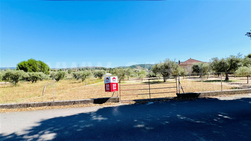 Terreno  Celorico da Beira, Celorico (São Pedro e Santa Maria) e Vila Boa do Mondego - 1399261 - 4
