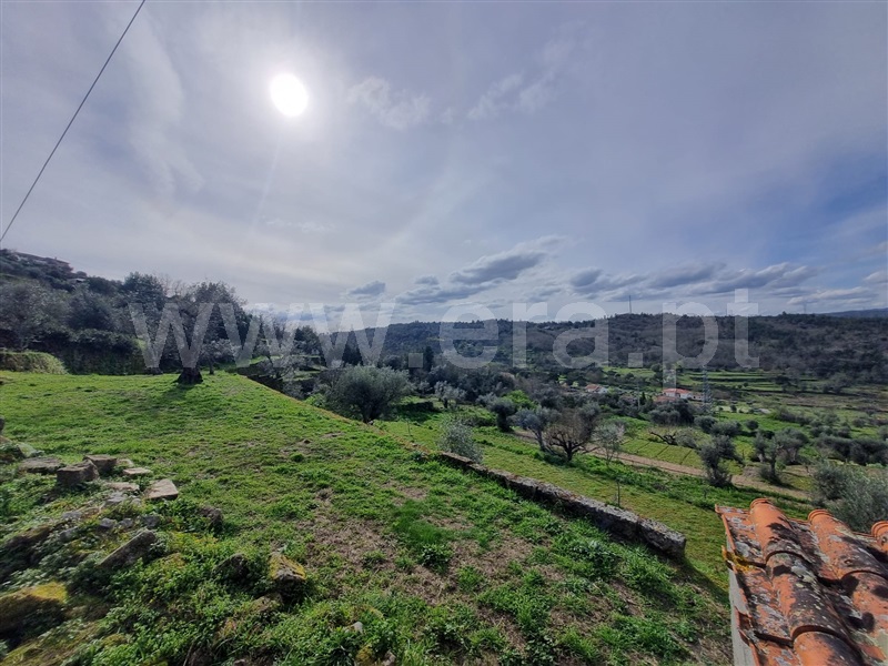 Terreno / Celorico da Beira, Celorico da Beira