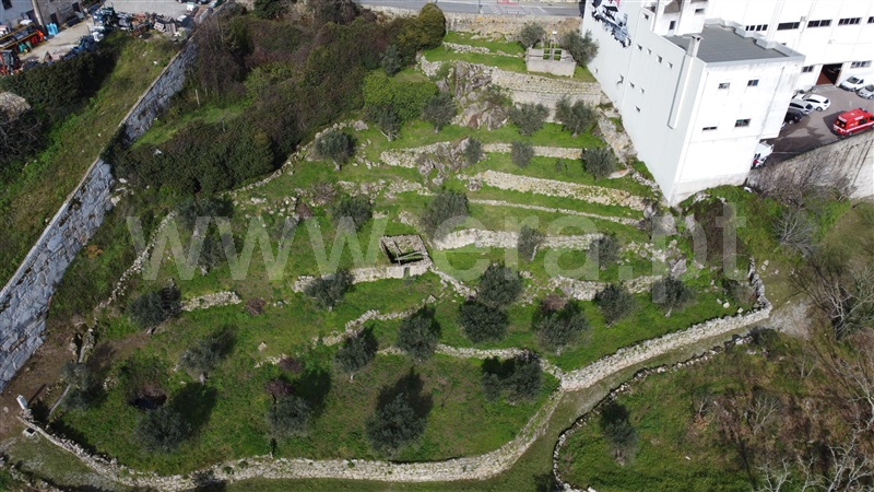 Terreno  Celorico da Beira, Celorico (São Pedro e Santa Maria) e Vila Boa do Mondego - 1381743 - 4