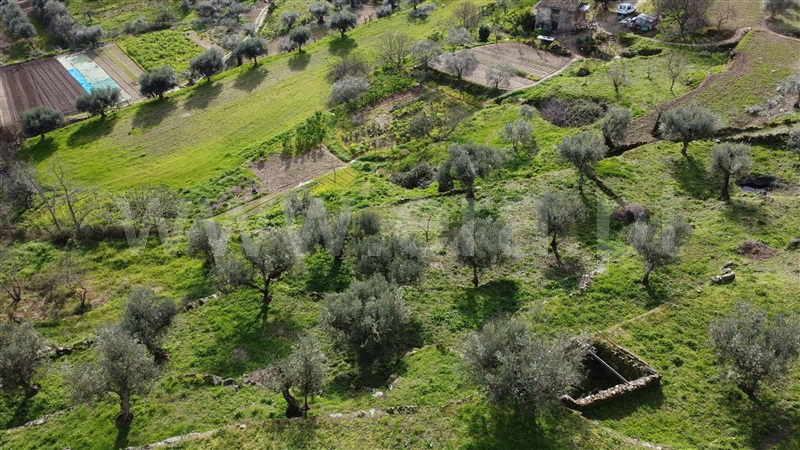 Terreno  Celorico da Beira, Celorico (São Pedro e Santa Maria) e Vila Boa do Mondego - 1381743 - 6