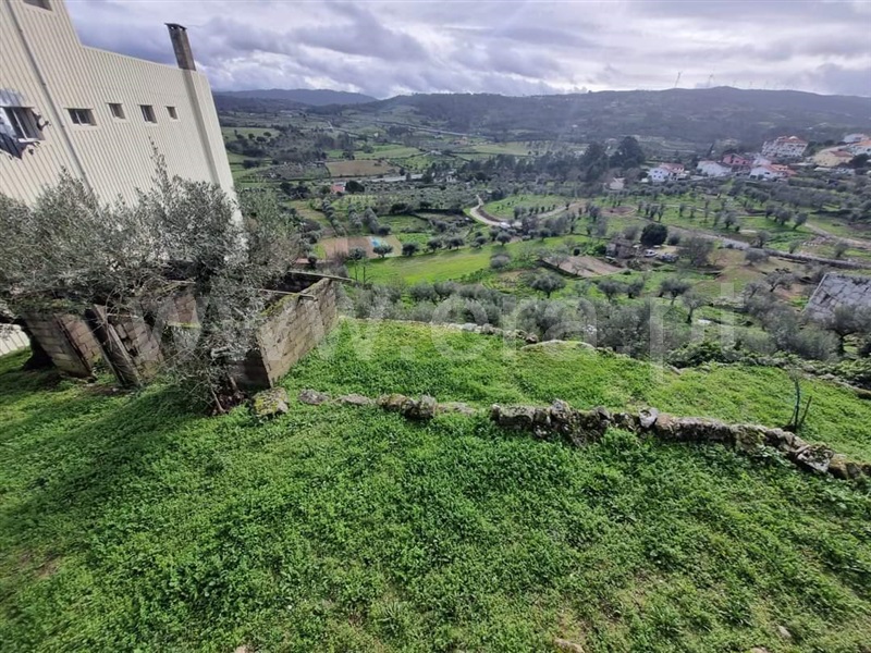 Terreno  Celorico da Beira, Celorico (São Pedro e Santa Maria) e Vila Boa do Mondego - 1381743 - 7