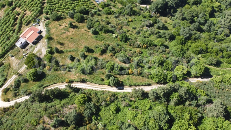 Terreno / Celorico da Beira, Rapa e Cadafaz
